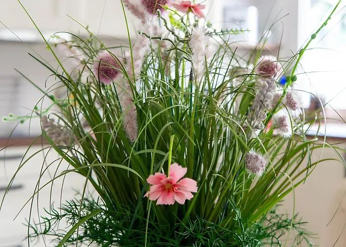 Zissi Vakantiehuis *